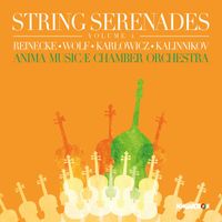 Anima Musicae Chamber Orchestra - String Serenades, Volume 4