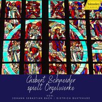 Gisbert Schneider - Organ Works