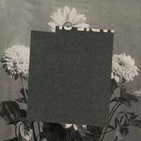 Rose Riebl - Kimono