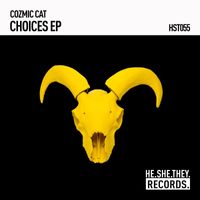 Cozmic Cat - Choices EP