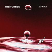 DIS:TURBED - Survey