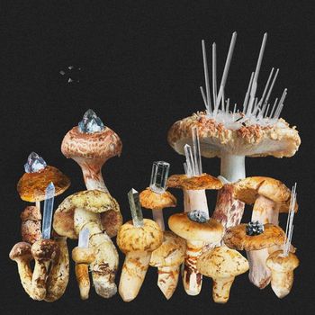 Impurity - Matsutake