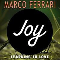 Marco Ferrari - Learning to Love