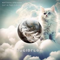 Matthias Springer - Cat in the Clouds