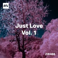 Luigi Pulcini - Just Love, Vol. 1