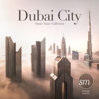 Stefan Zintel - Dubai City (Static Noise Collection)