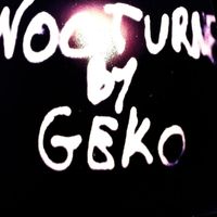 Geko - Nocturne