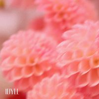 IDYLL - Dahlia