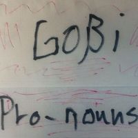 Gobi - Pronouns (Explicit)