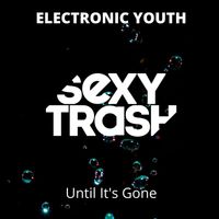 Electronic Youth - Until It's Gone