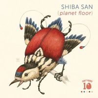 Shiba San - Planet Floor