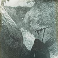 Stranded - Yersinia