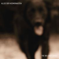 Allee der Kosmonauten - The Big Grey Ghost
