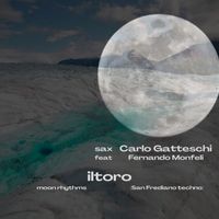 Iltoro - moon rhythms  (San Frediano techno)