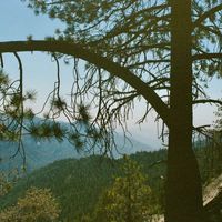 morningtime - lean in