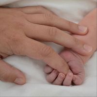 Tom Stillmore - The Beach Boy