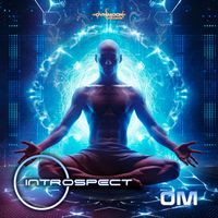 Introspect - Om