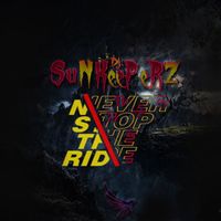 DJ Sunkeeperz - Never Stop The Ride (Original Mix)