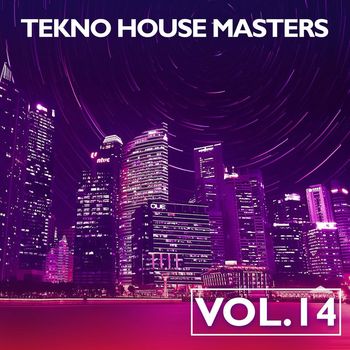 Various Artists - Tekno House Masters, Vol. 14 (Explicit)
