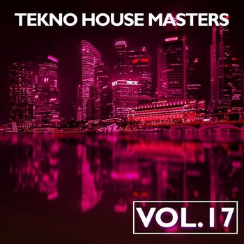 Various Artists - Tekno House Masters, Vol. 17