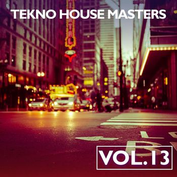 Various Artists - Tekno House Masters, Vol. 13