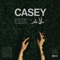 Casey - Puncture Wounds To Heaven