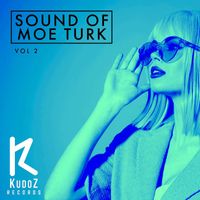Moe Turk - Sound Of Moe Turk, Vol. 2