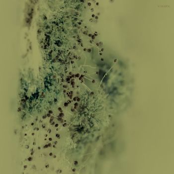 Various Artists - Immersive Tech