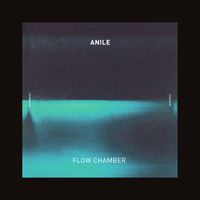 Anile - Flow Chamber