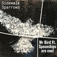 Mr Bird - Sidewalk Sparrows