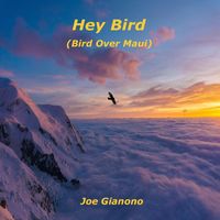 Joe Gianono - Hey Bird (Bird Over Maui)