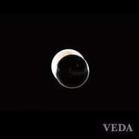 VEDA - Hero x_Q