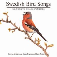 Benny Andersson - Swedish Birdsong (90 Well Known Birds)
