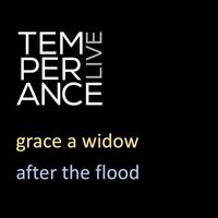 After the Flood - Grace a Widow (Live from Temperance)