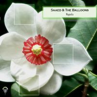Saaed & The Balloons - Magnolia