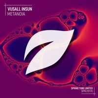 Vusall Insun - Metanoia