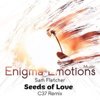 Sam Fletcher - Seeds of Love (C37 Remix)