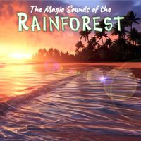 Calming Rainforest Sounds - The Magic Sounds of the Rainforest
