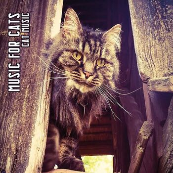 Music For Cats - Cat Music