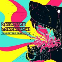 Shinsuke Tsuchiuchi - Collecting Fragments