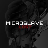 Microslave - lost