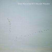 Davy Knowles - If I Should Wander