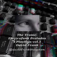 David Frank - The Tronic-Electrofunk Preludes for Playlists, Vol. 1