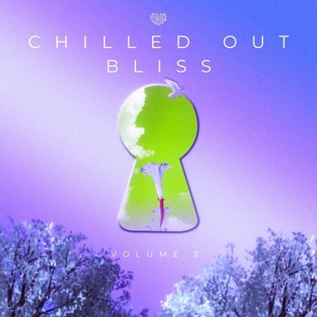 Various Artists - Chilled Out Bliss 003