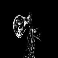 NEMO - SIREN