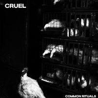 Cruel - Common Rituals (Explicit)