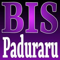 Cristian Paduraru - BIS (CEDM Mix)
