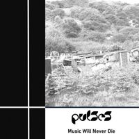 Pulses - Music Will Never Die