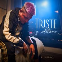 El Perro - Triste y Solitario
