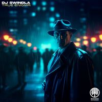 DJ Swindla - True Enigma